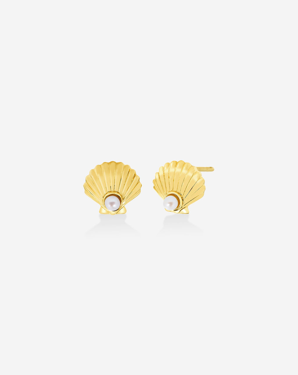 Seashell + Pearl Studs