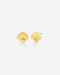 Seashell + Pearl Studs