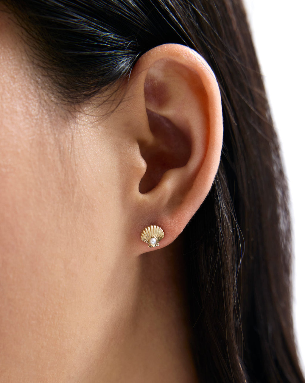 Seashell + Pearl Studs