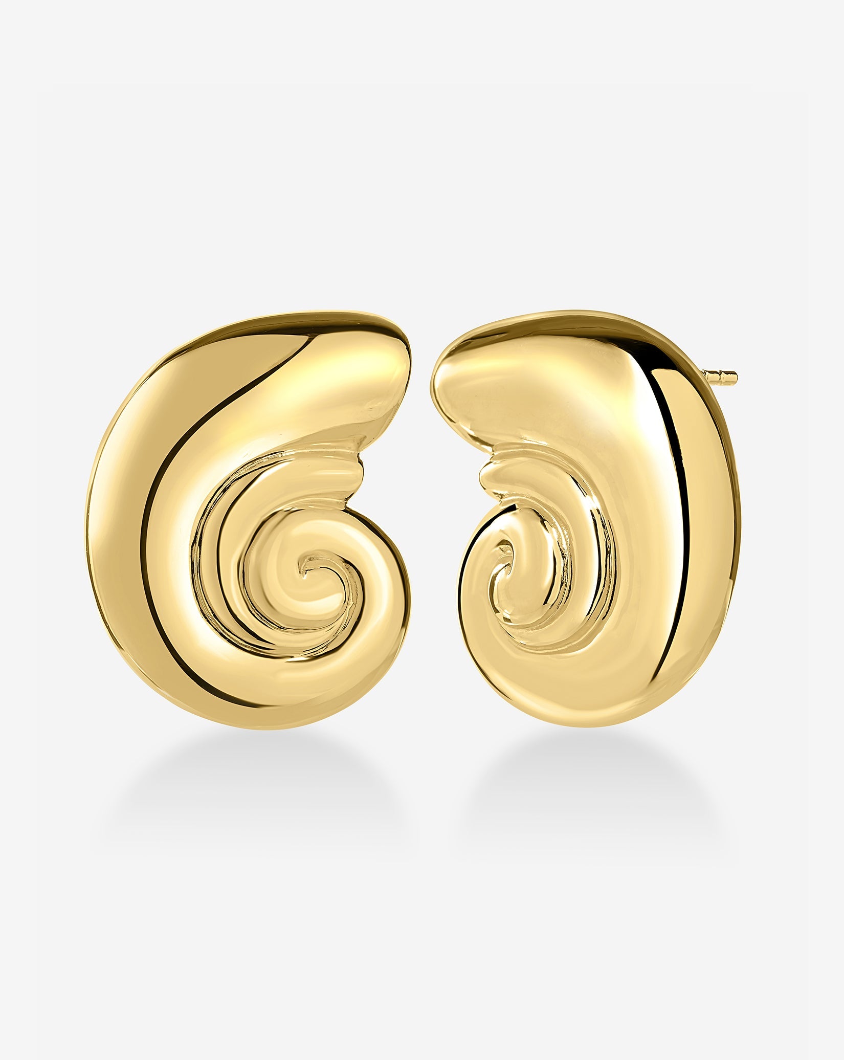 Nautilus Shell Earrings