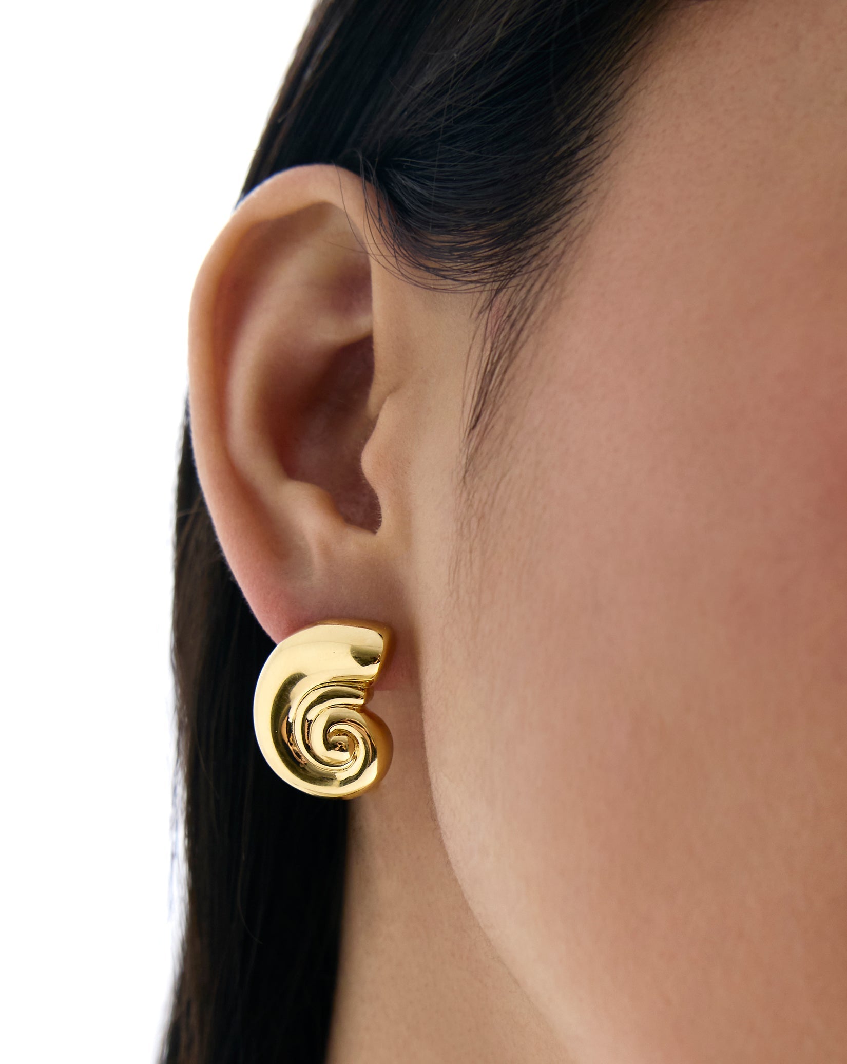 Nautilus Shell Earrings